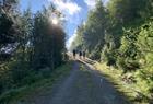 1,5 timer på grusvei før startpunktet på selve Dronningstien