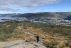 Varied terrain towards the top