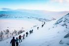 Trugetur i fjellene rundt Hardangerfjorden
