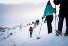 Trugetur i fjellene rundt Hardangerfjorden