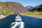 Den smale Mostraumen
