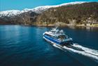 Halvdags fjordcruise fra Bergen til Mostraumen