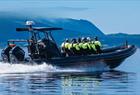 Fjordtur til Mostraumen i RIB-båt