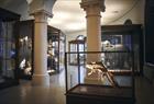 Universitetsmuseet i Bergen