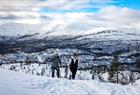 Trugetur med Norway Mountain Guides