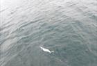 Fisketur med utendørs matlaging