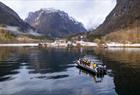 Fjordsafari i Rib-båt på Hardangerfjorden