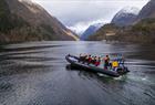 Fjordsafari i Rib-båt på Hardangerfjorden