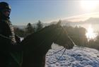 Ridetur hellen