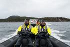 Fjordsafari med RIB-båt på Hardangerfjorden fra Rosendal