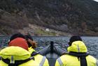 Fjordsafari med RIB-båt på Hardangerfjorden fra Rosendal