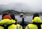 Fjordsafari med RIB-båt på Hardangerfjorden fra Rosendal