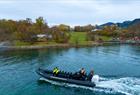 Fjordsafari med RIB-båt på Hardangerfjorden fra Rosendal