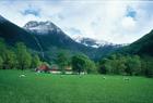 Rosendal