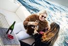 Privat yacht cruise i Bergensområdet