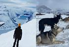 Trolltunga huskytur