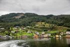 Fjordcruise på Hardangerfjorden