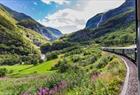 Exclusive fjord tours and cruises