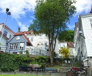 Thumbnail for Bydeler og nabolag i Bergen sentrum
