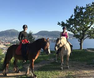 Utforsk naturen fra hesteryggen og bli med på rideturer i vakre omgivelser.