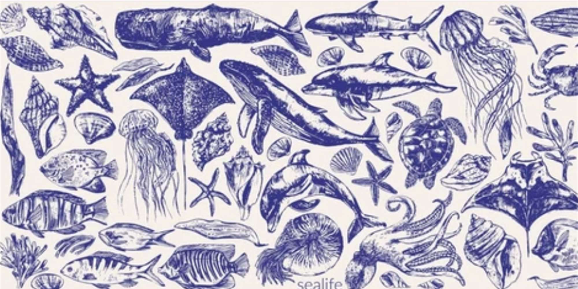 "Save the Whale, Screw the Shrimp" "Save the Whale, Screw the Shrimp"