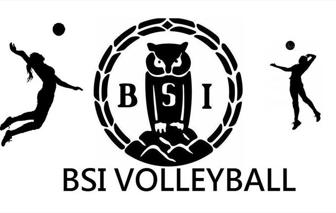 BSI vs Viking