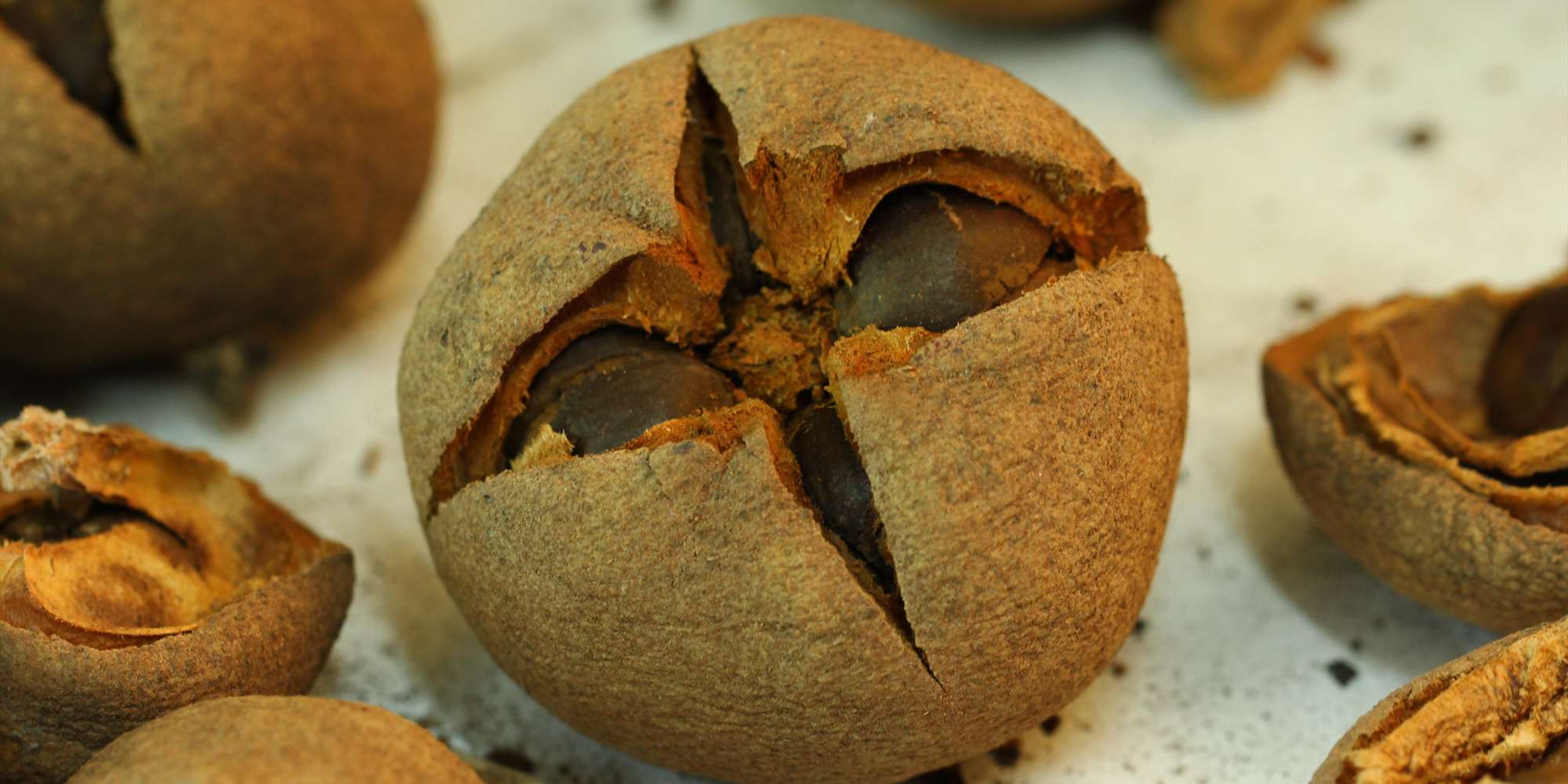 Lag kunst og bli med på naturtoppdagelser i Nygårdsparken med kunstpilotene. Lag kunst og bli med på naturtoppdagelser i Nygårdsparken med kunstpilotene.