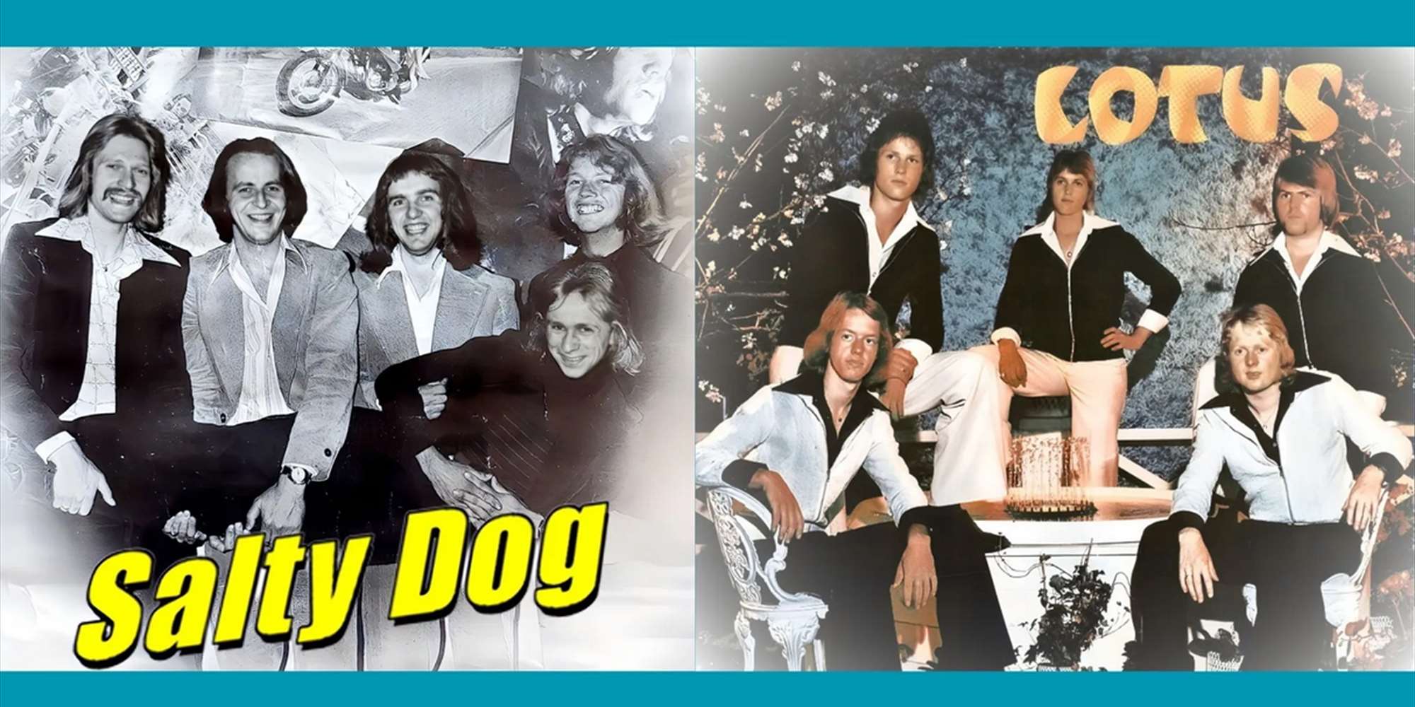 Lotus & Salty Dog Lotus & Salty Dog