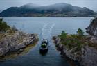 Fjordsafari med RIB-båt på Hardangerfjorden fra Rosendal