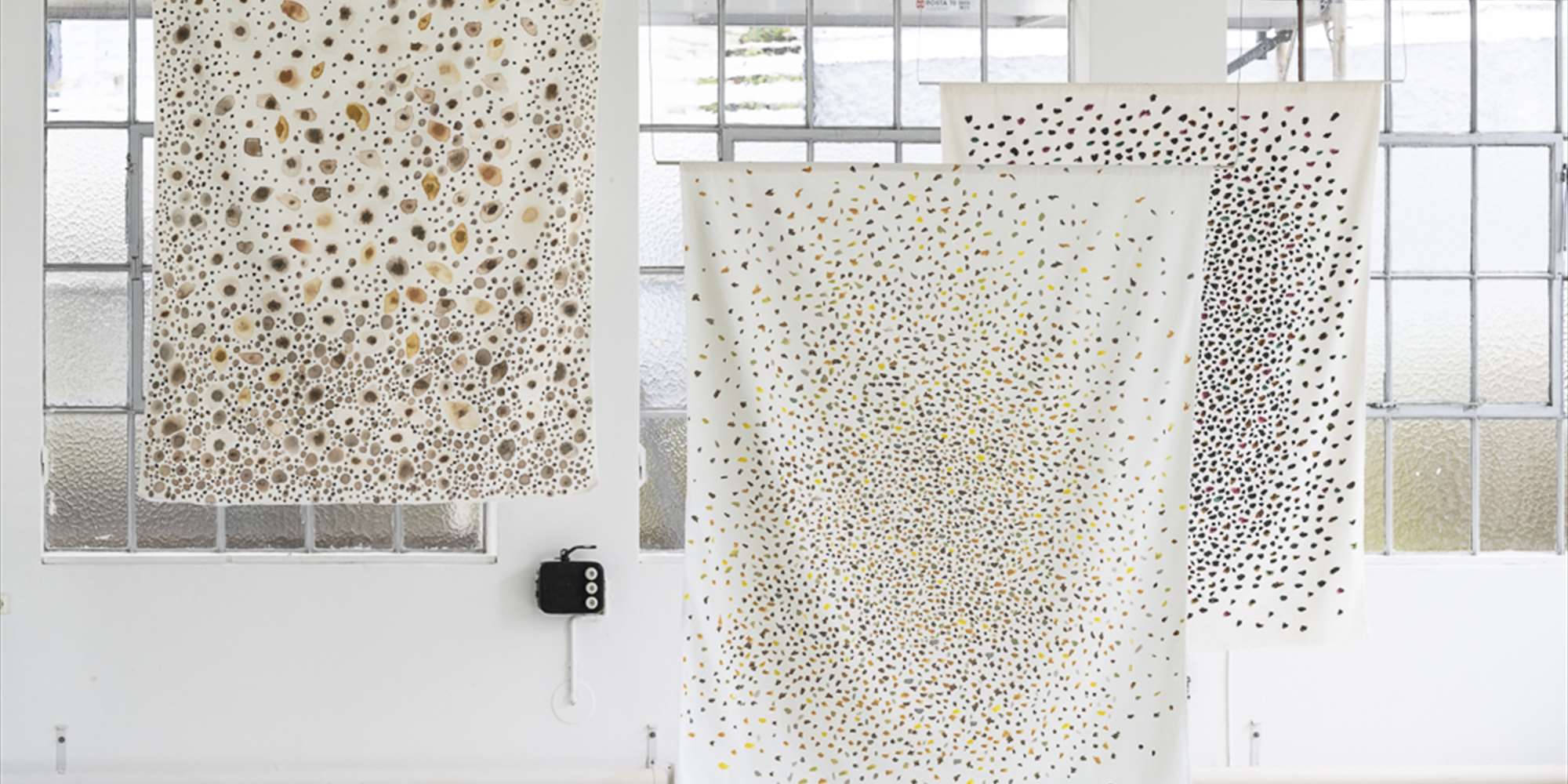 Overganger: Hanne Øverland Overganger: Hanne Øverland